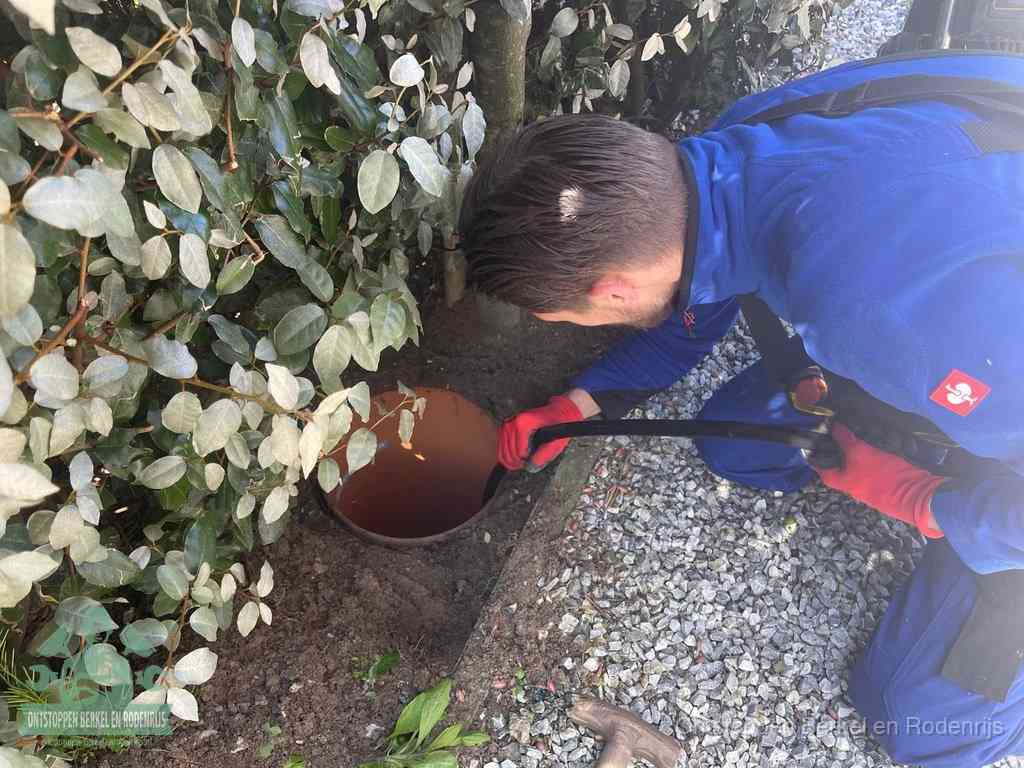 Monteur reinigt een rioolput met een slang, periodieke rioolreiniging in Berkel en Rodenrijs